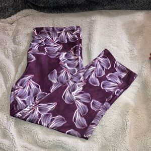 🔹4 for $30 C9 by Champion Floral Crops, Large